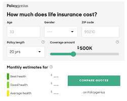 Press the 'view report' button to see a year by year breakdown of your family's future income and expenses. How Long Does It Take To Get A Life Insurance Payout