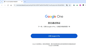 Google AI Pro 学生认证教程，免费领取一年的Gemini Pro 会员，已 ...