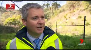 Herd' about the goats clearing weeds from EastLink?