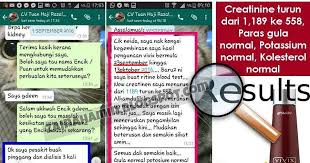Mengapa perlu menjaga kesihatan buah pinggang? Cara Turunkan Bacaan Kreatinin Supaya Tak Kerap Kena Dialisis