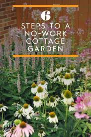 June is the most amazing month for gorgeous blooms! 6 Steps To A No Work Cottage Garden Cottage Garden Plants Garden Planning Cottage Garden Design