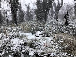 Get the forecast for today, tonight & tomorrow's weather for blayney, new south wales, australia. Winter Whiteness Is Here Snow Falling And Settling On Mount Canobolas Photos Video Western Magazine Dubbo Nsw