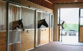 If you're wondering which are the world's most expensive horses or what is the most someone has paid to buy a racehorse, we've got you covered! Use Barn Fans For Healthy Air Expert Advice On Horse Care And Horse Riding