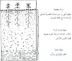 علاقة العوامل البيئية بنمو المحاصيل الحقلية ـ التربة