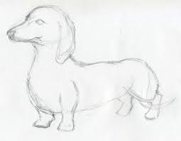 Vector funny cartoon hipster dog dachshund. A Wiener Dog By I Like Socks2 Dog Sketch Easy Animal Drawings Dog Drawing