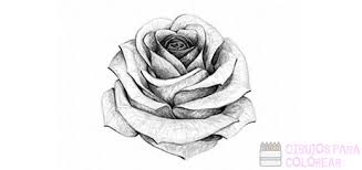 Como dibujar una rosa paso. áˆ Dibujos De Rosas 1000 Para Colorear Hoy