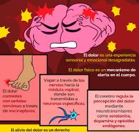 Cuidarnos es importante. 🫶 No soportes el dolor y busca ...