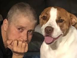 Fundraiser by Michelle Blake : Bean Needs Your Help for Critical Surgery