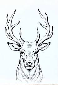 Pin On A Lma Forest Animals