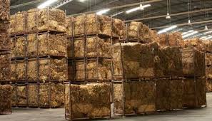 Tabaco argentino enfrenta sobrestock y ca&iacute;da de demanda en un mercado internacional adverso