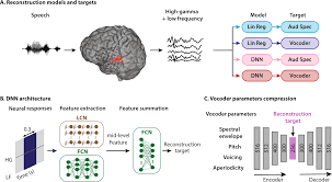 Maybe you would like to learn more about one of these? Towards Reconstructing Intelligible Speech From The Human Auditory Cortex Scientific Reports