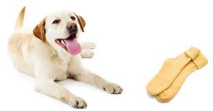 My Dog Ate A Sock What To Do And What Happens Next Dog Eating Animal Behaviorist Anxious Dog