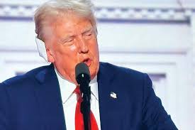 Memphis Flyer 7/25/2024 by Contemporary Media