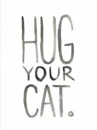 Image result for tbn:XlKqJDikDsTDFM::i132.photobucket.com/albums/q36/queen-elarab/cats/22.jpg