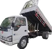 5ton Isuzu Dump Truck - New Design Light Cargo Vehicle
