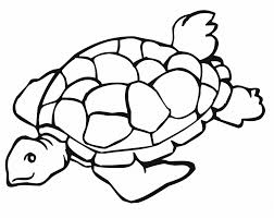Schöne Malvorlagen Ausmalbilder Schildkröte Ausdrucken 2