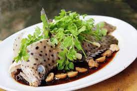 Chinese Style Steamed Mouse Grouper Fish With Soy Sauce Ginger Scallion And Cilantro Resep Ikan Kerapu Bebek Tikus Tim Hongkong Resep Masakan Makanan Estetika Resep Ikan