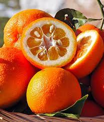 Spray orange flower eau de parfum for women. Eau De Toilette Orange Bigarade De La Collection Candora Paris