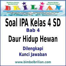 Soal Ipa Kelas 4 Sd Bab 4 Daur Hidup Hewan Dan Kunci Jawaban Bimbel Brilian