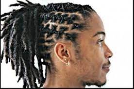 Braided Dreads Hairstyles For Men Men Hairstyle Trend Dreadlocks Dread Looking Bra Dreadlock Hairstyles For Men Mens Braids Hairstyles Dread Hairstyles For Men