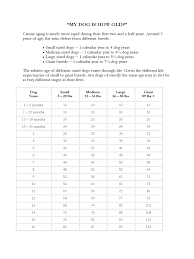 Dog Years Chart 6 Free Templates In Pdf Word Excel Download