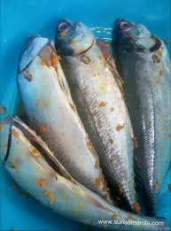 Recipe #homecook ni masakan umi yang menjadi favorite aku dari kecil sampailah dah tua bangka camni. Suria Amanda Ikan Cencaru Goreng Kunyit Resepi Bonda