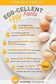 8 Best Egg Nutrition Images Eating Eggs Nutrition Eggs