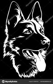 Pin Em Cachorro