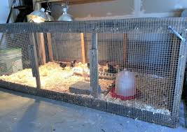 I had been pulling the rack inside every evening, as it has wheels. Pin On Baby Chicks Brooders