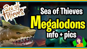 sea of thieves megalodons with pictures shillianth gaming