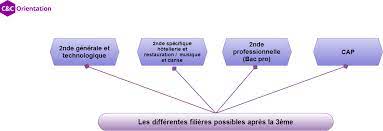 Ces 4 critères permettent de choisir un idéal de vie, de trouver sa voie et donc de choisir son orientation, explique manuelle malot. Que Faire Apres La 3eme Comment Faire Les Bons Choix