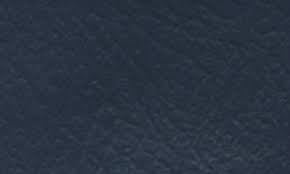 Image result for Dark Blue 1982 Dodge