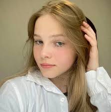 Wolf sighting near Bruce Crossing, Michigan