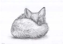 Fox Drawing Instant Download Printable Drawing By 12 Year Old Girl