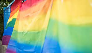 Der regenbogen ist nicht das einzige symbol der lgbtq + community. 50 Jahre Stonewall Grundstein Der Lgbt Community Murmann Magazin