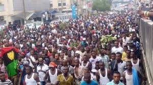 Image result for ipob