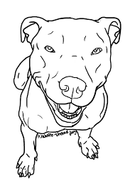 Seach more similar free transparent cliparts ,carttons and silhouettes. Easy Drawings Of A Pitbull Novocom Top