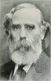 The American Museum journal (c1900-(1918)) (18162134441)