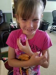 Vanderveer park rock find and rehide