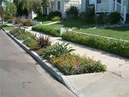 Pin On Parking Strip Gardens