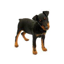 Image result for jagdteriér