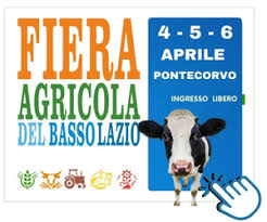 Al Centro Provinciale di Istruzione degli Adulti gli esami per gli  immigrati - Leggo Cassino