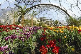 Allow 2 hours to see most of the gardens. Eden Project