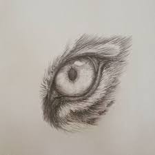Eye Of The Tiger Tiger Eye Eyeofthetiger Graphite Art Pencilart Grawing Graphitedrawing Karakalem Cat Eye Tattoos Realistic Drawings Tiger Drawing