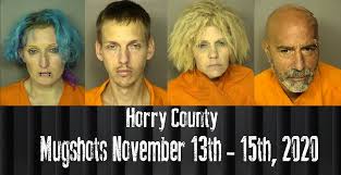 Select how many bedrooms you want. Mugshots November 13th 15th 2020 Wfxb
