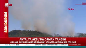 Yangın, havadan ve karadan müdahaleyle kontrol altına alındı. Son Dakika Antalya Da Orman Yangini Video Videosunu Izle Son Dakika Haberleri