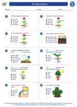 Some of the worksheets displayed are ab2 gp pe tp cpy 193601, soil work 3, science lesson plans how plants are grouped objectives, roots and stems and leaves oh my, life science work, plant lesson plant, lesson 2. All About Plants First Grade Science Worksheets And Answer Keys Study Guides And Vocabulary Sets