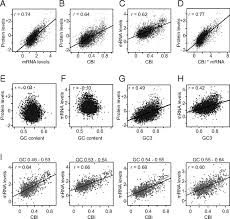 codon usage is an important determinant of gene expression