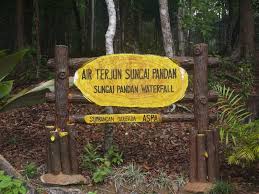 Ada banyak jenisnya yang bisa dilakukan. Sungai Pandan Waterfall In Kuantan Asian Itinerary