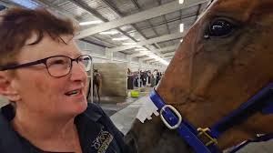 Group 1 Glory for ALLAMERICANLOVER, congratulations driver Tim Williams,  Trainer's Steve &Amanda Telfer and the big team at Stonewall Stud and  Stables .